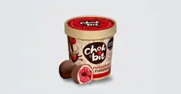 Chokbit