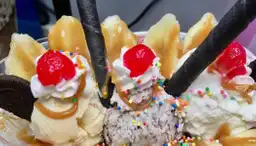 Frozen Delights