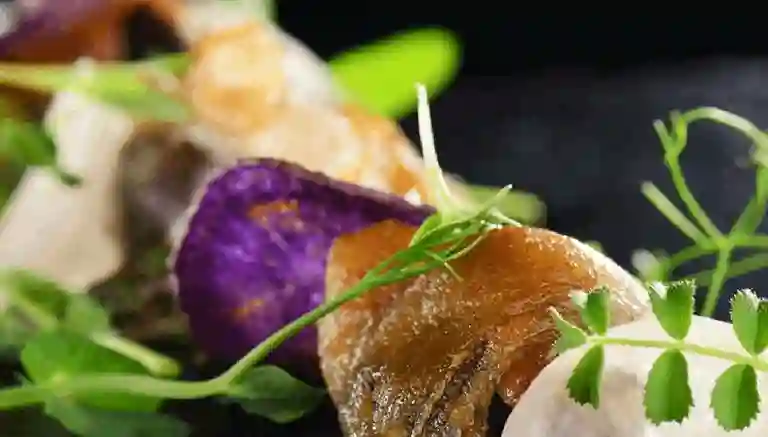 Dlicias a Domicilio Dlicias