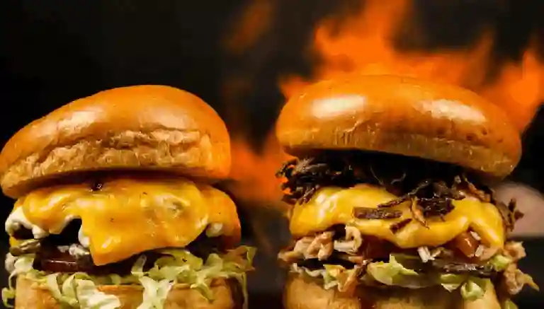 House Burger Hamburguesas a Domicilio House Burger Hamburguesas