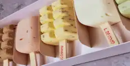 Frozzy Gelato Artesanal