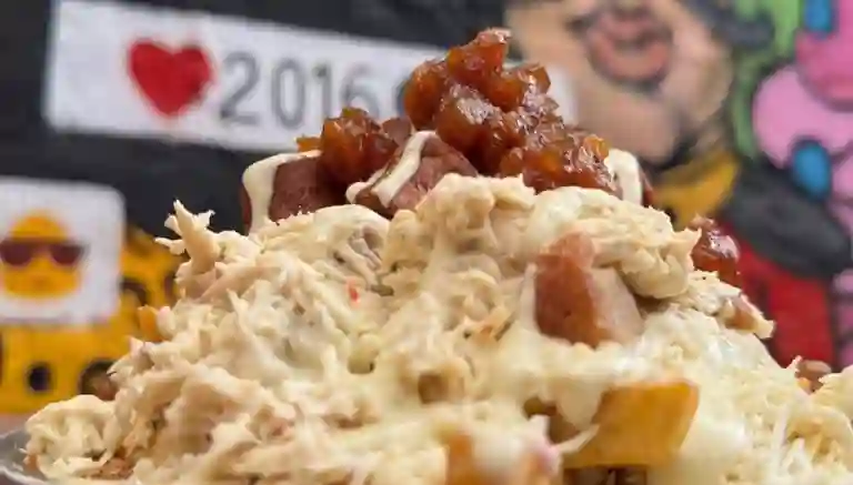 Sir Fries a Domicilio Sir Fries