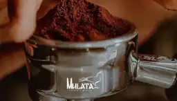 Mulata Coffee y Bistro