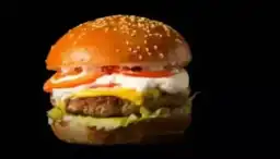 Papapote Burger y Fries