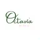 Octavia Bakery