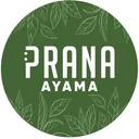 Prana Ayama