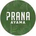 Prana Ayama - Universidad