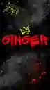 Ginger - Antonio Nariño