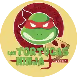 Las Tortugas Ninja a Domicilio