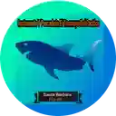 pescaderia el trasmayo del pacifico - Bosa