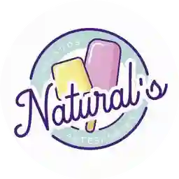 Helados Naturals a Domicilio