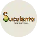 Suculenta Areperia Cali