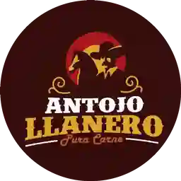 Antojo Llanero Campestre a Domicilio