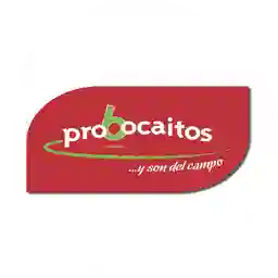 Probocaitos Oulet Fctory a Domicilio