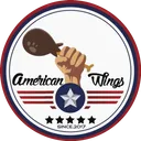 American Wings 45