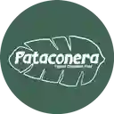 Pataconera Patacones