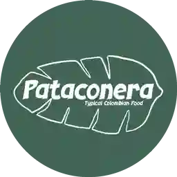Pataconera Patacones a Domicilio