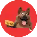 El Perrazo Dorilocos - La Candelaria