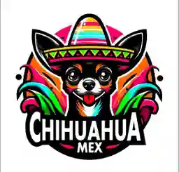 Chihuahua Mex Bga a Domicilio