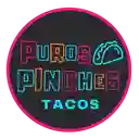 Puros Pinches Tacos