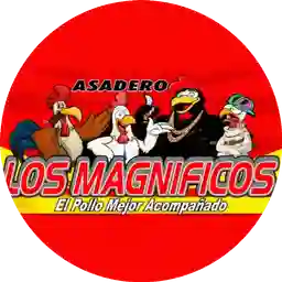 Asadero los Magnificos Terminalito  a Domicilio