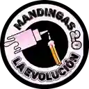 Mandingas 20 "La Evolución" - La Madera