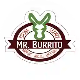 Mr. Burrito  a Domicilio