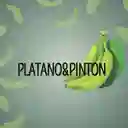 Platanoypinton