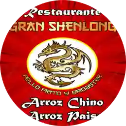 Restaurante Chino Gran Shenlong a Domicilio