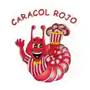 Caracol Rojo Cajica - Cajicá
