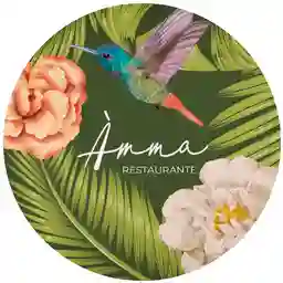 Amma Café by Koldo a Domicilio