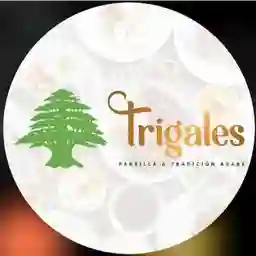 Los Trigales Restaurante - Parrillada a Domicilio