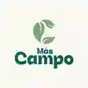 Mas Campo