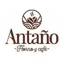 Antaño Horno y Cafe - Margaritas