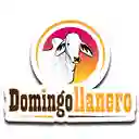 Domingo Llanero