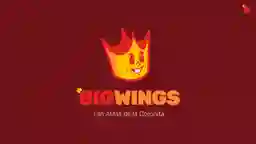 Big Wings Piloto a Domicilio