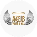 Angelus Wings Ribs Smr