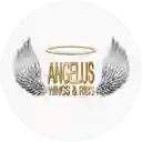 Angelus Wings Ribs Smr - Santa Marta