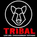 Tribal Llanero Los del chicharrón Totiado - Comuna 17