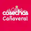Cosechas - Batidos - Cañaveral