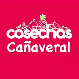 Cosechas Cañaveral a Domicilio