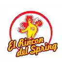El Rincon Del Spring