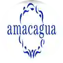 Amacagua Coffee Experience