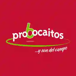 Probocaitos Floresta a Domicilio