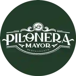 La Pilonera Mayor  a Domicilio