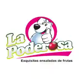 Bambusa la Poderosa Armenia a Domicilio