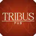 Tribus Pub - Pasto
