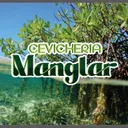 Cevicheria Manglar