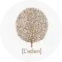 Leden