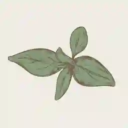 Calitalian a Domicilio